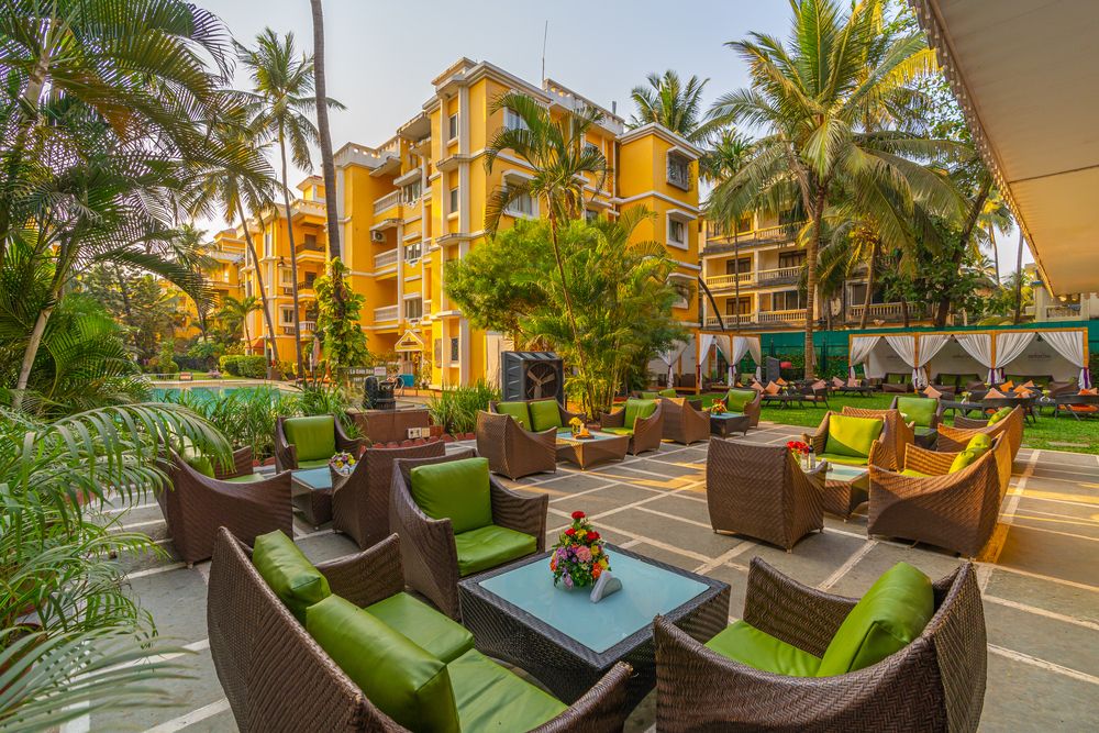 ADAMO THE BELLUS - 16