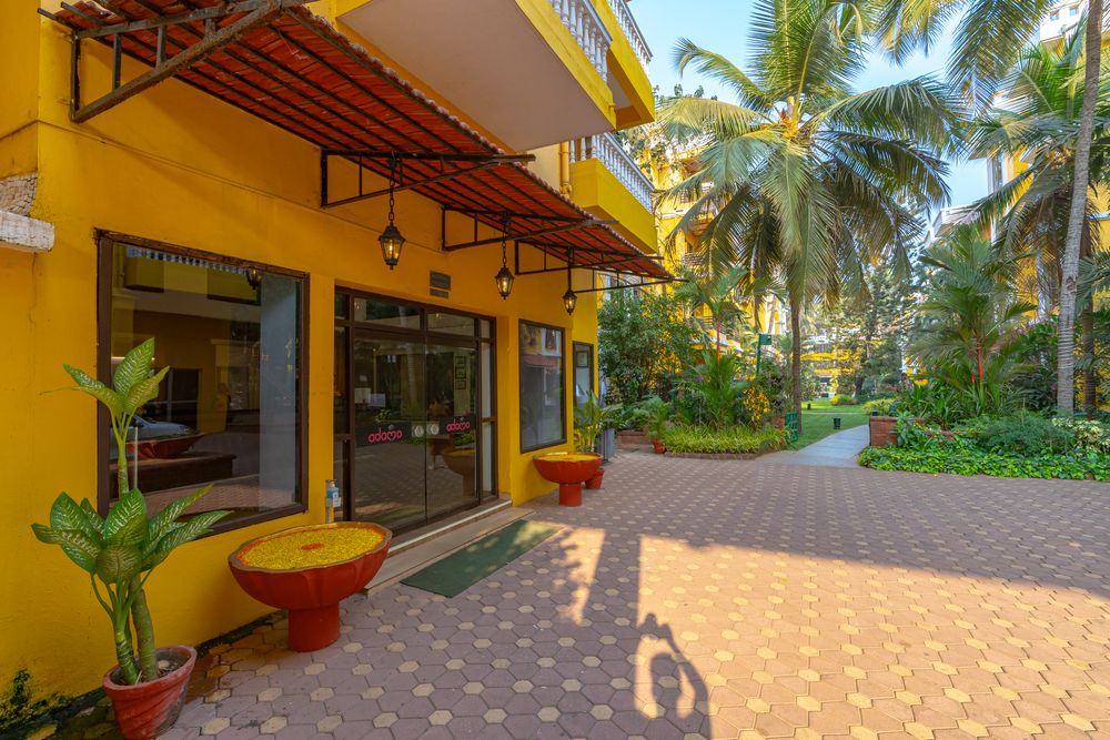 ADAMO THE BELLUS - 51