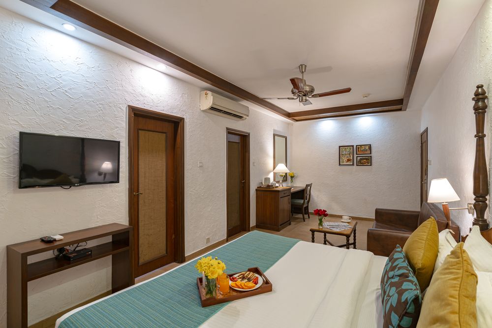 ADAMO THE BELLUS - 68