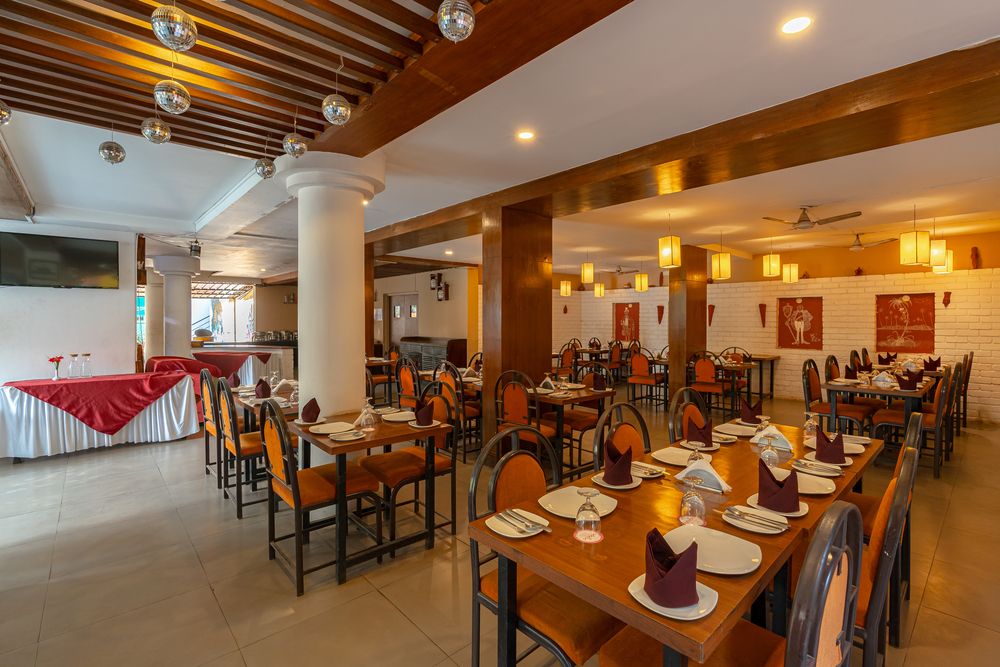 ADAMO THE BELLUS - 25