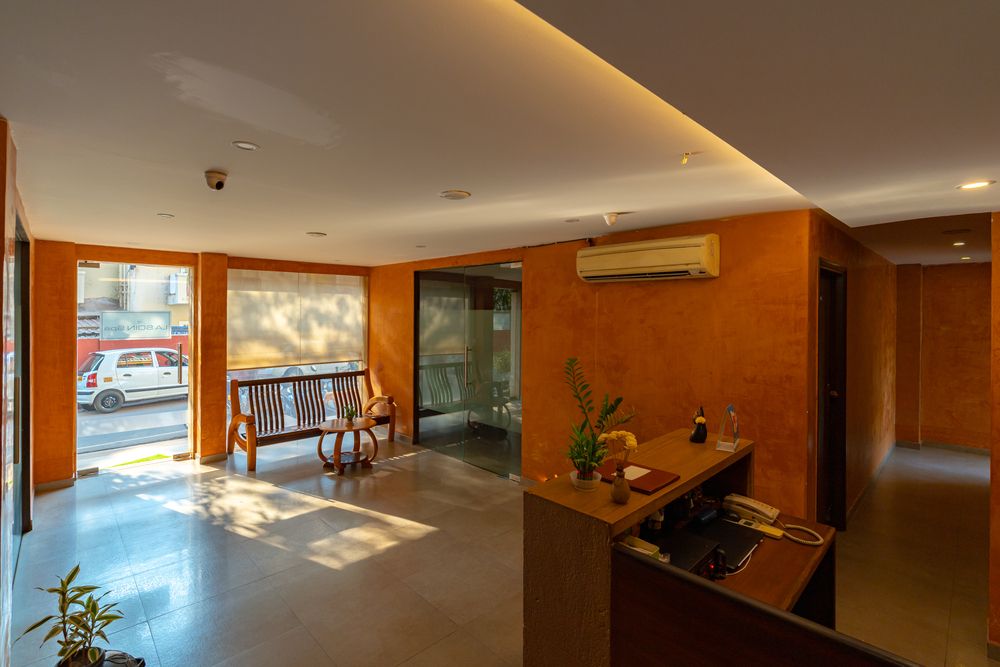 ADAMO THE BELLUS - 52