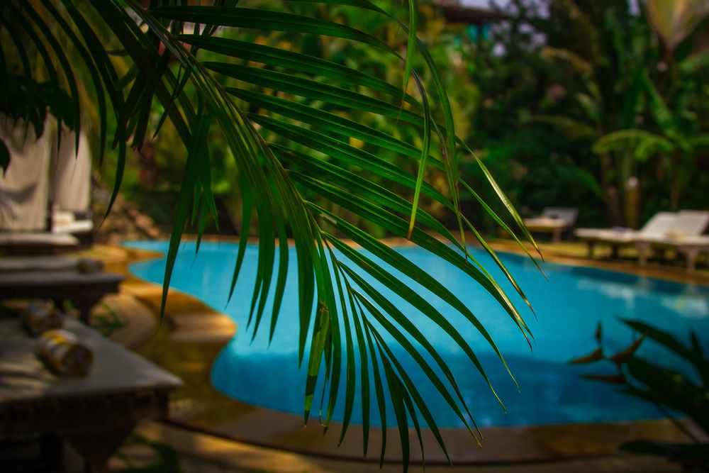 PAPA JOLLYS ECO RESORT (ex. PAPA JOLLYS BOUTIQUE HOTEL) - 30