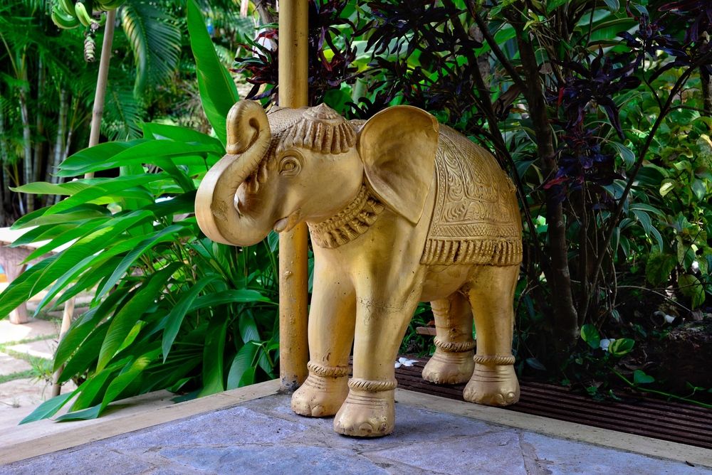 Картинка отеля - 13