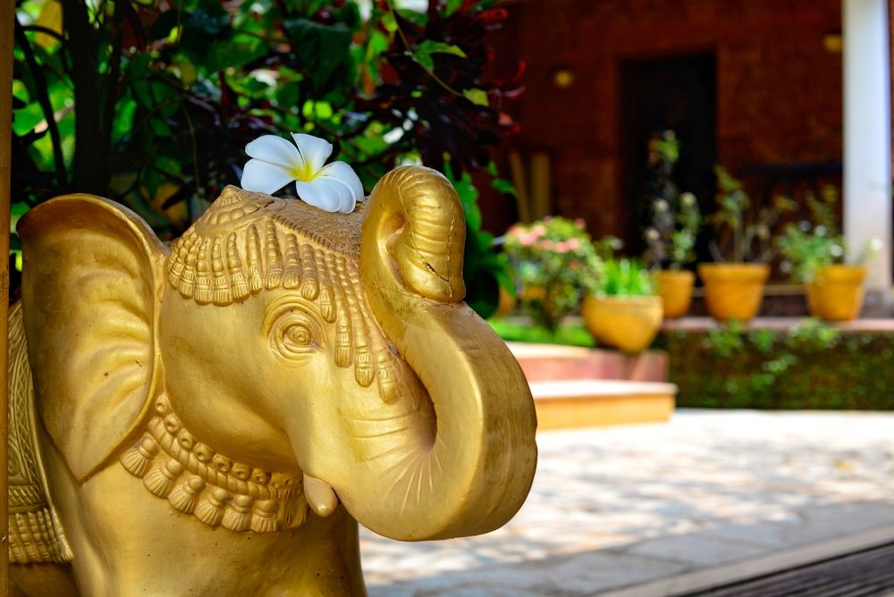 Картинка отеля - 9