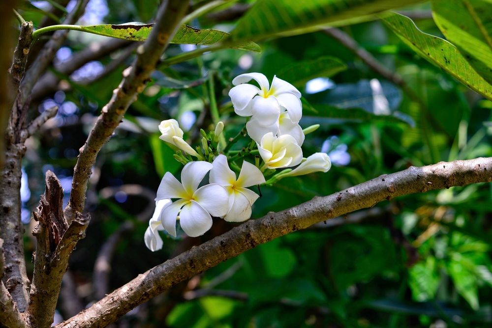 Картинка отеля - 5