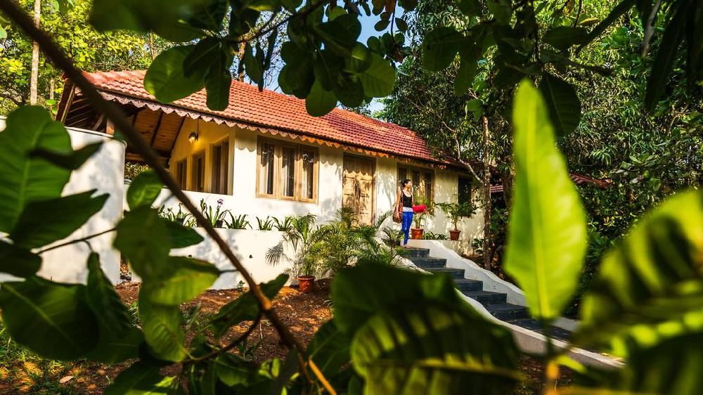 Картинка отеля - 21