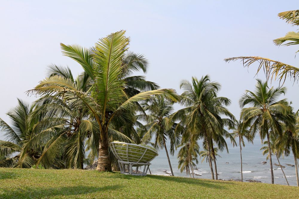 Картинка отеля - 15