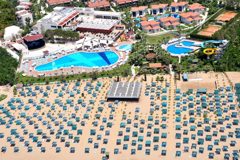 Paloma Oceana - 2