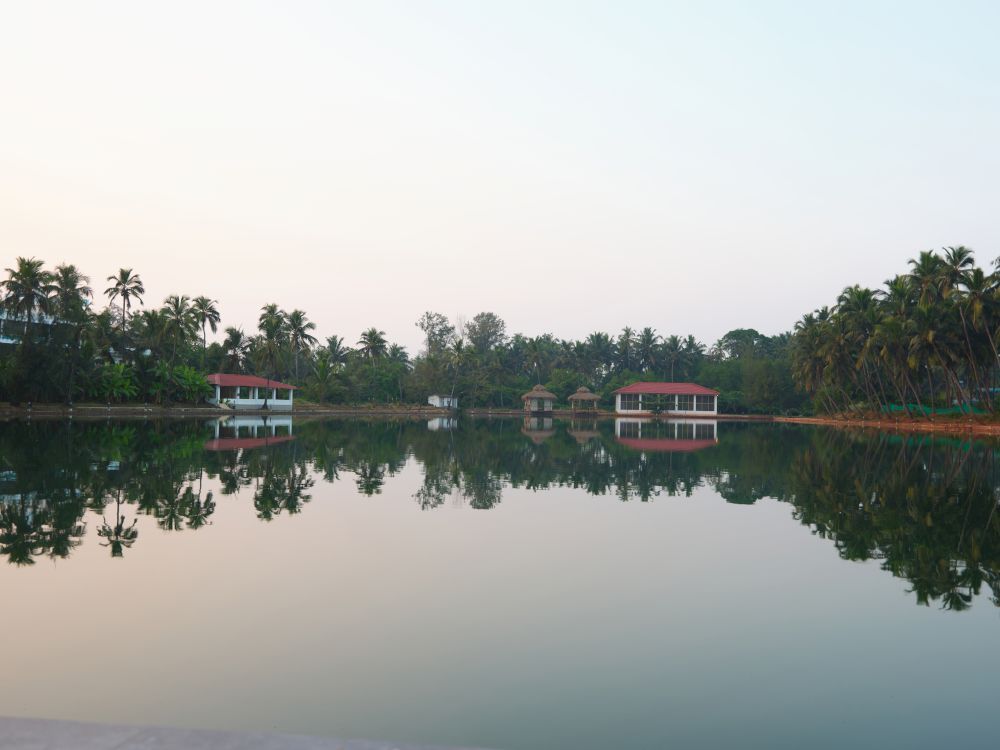 VEDA 5 WELLNESS RESORTS & SPA - 2