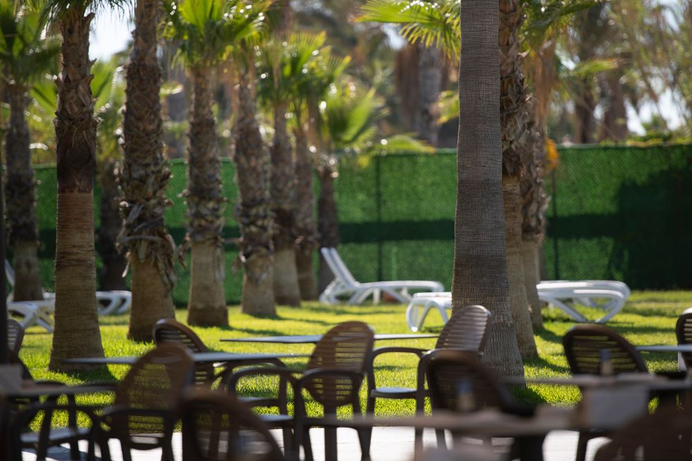 Картинка отеля - 82