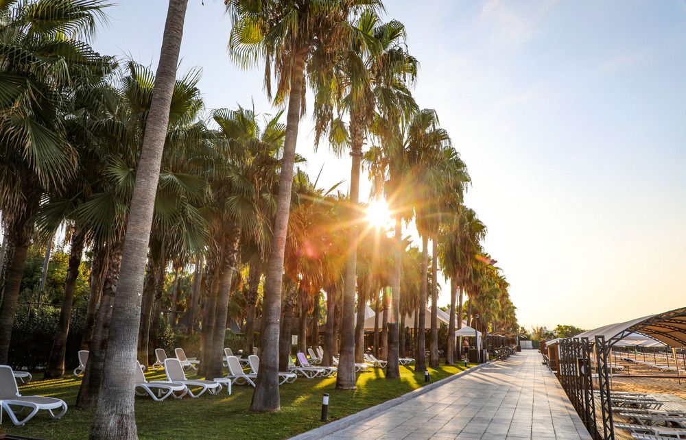 Картинка отеля - 14