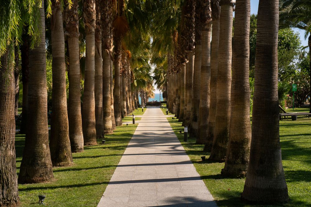 Картинка отеля - 10