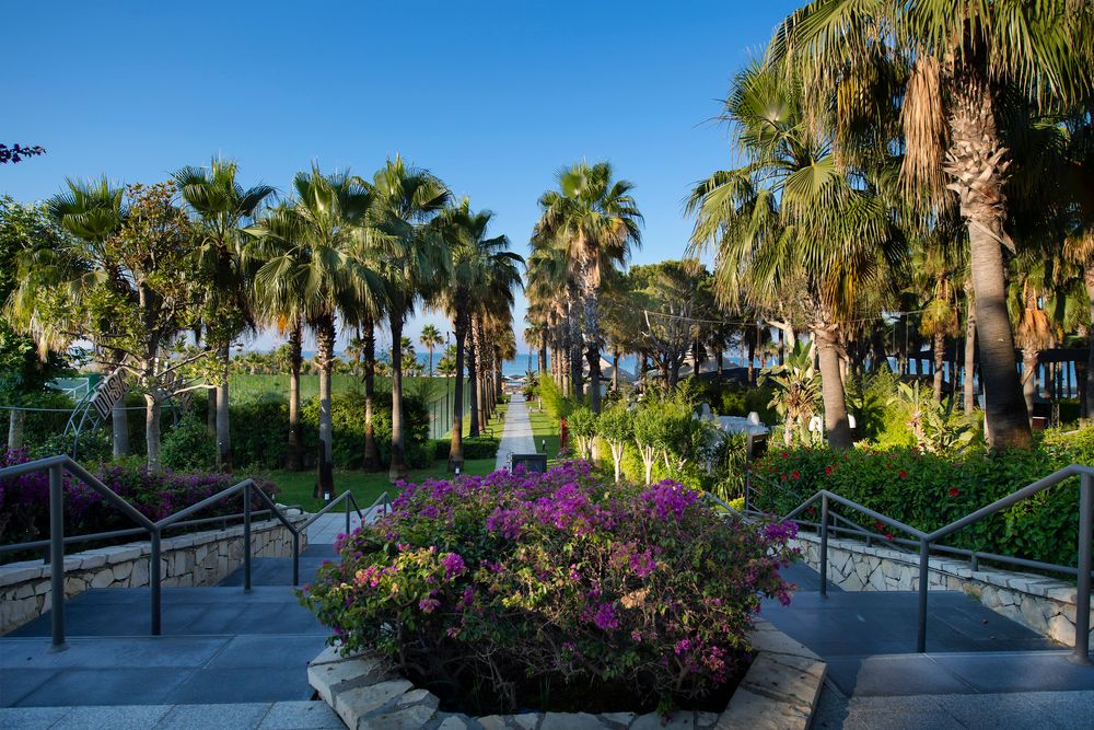 Картинка отеля - 9