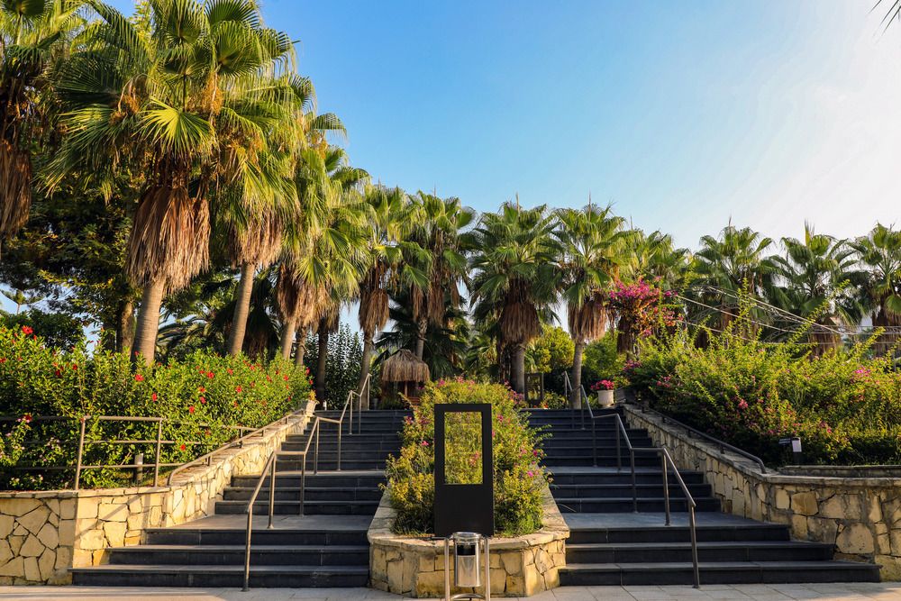 Картинка отеля - 8