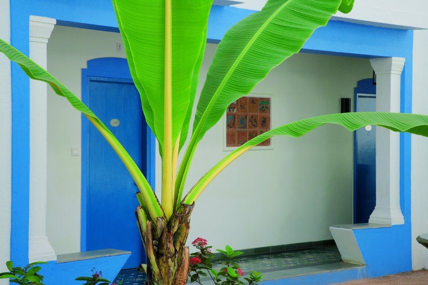 LEMON TREE AMARANTE BEACH RESORT - 28