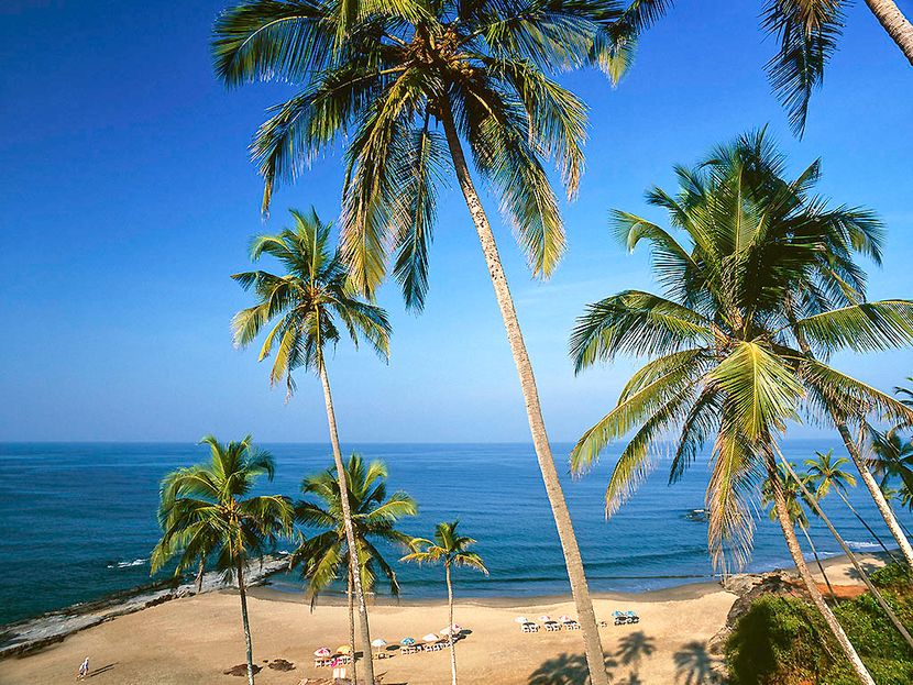 IBIS STYLES GOA CALANGUTE – ACCOR HOTELS - 5