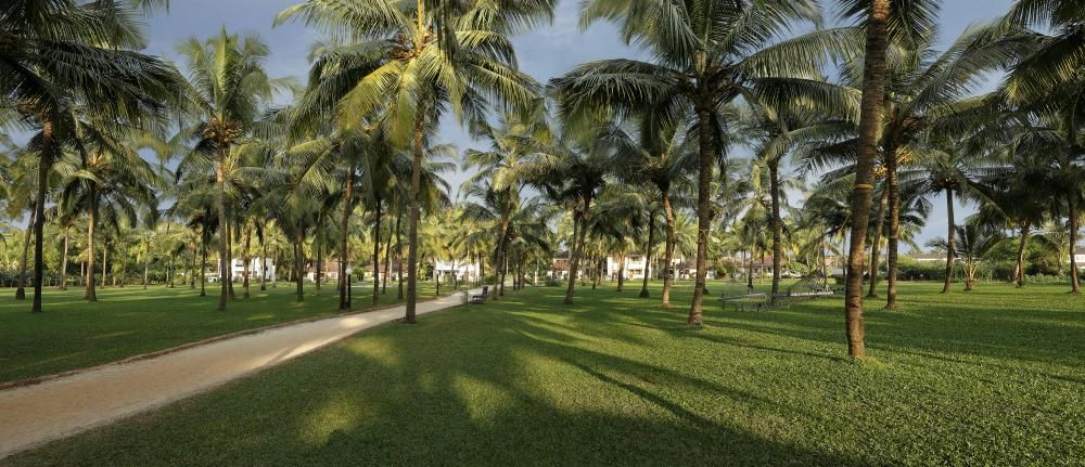 Картинка отеля - 7