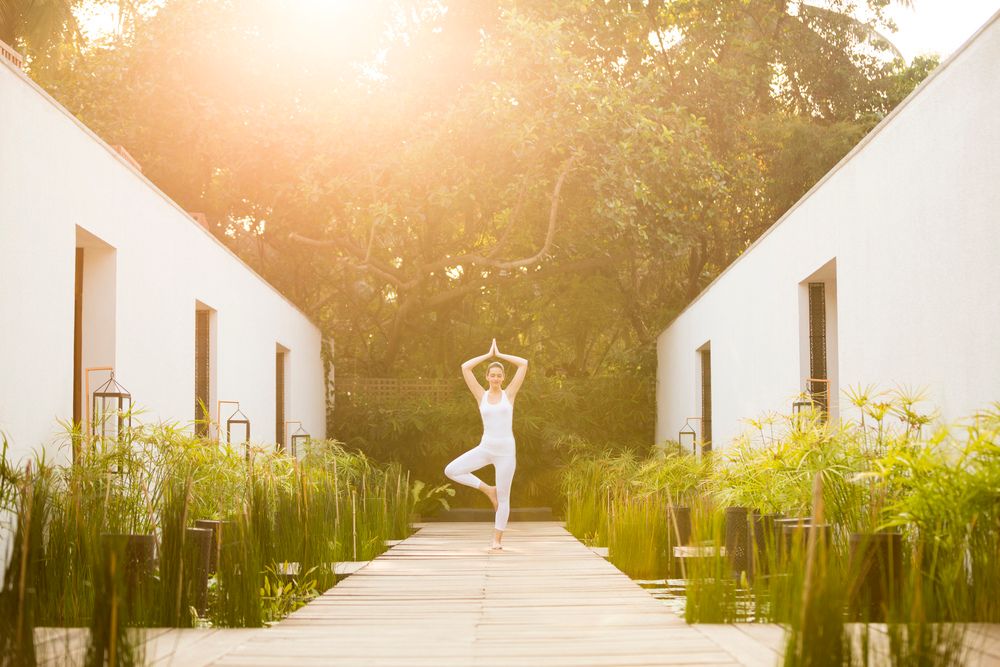 Картинка отеля - 23