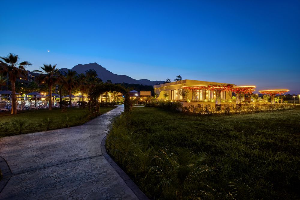 Картинка отеля - 239