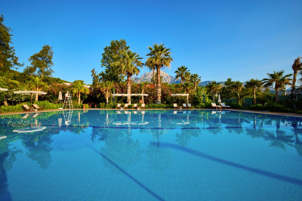 Картинка отеля - 80