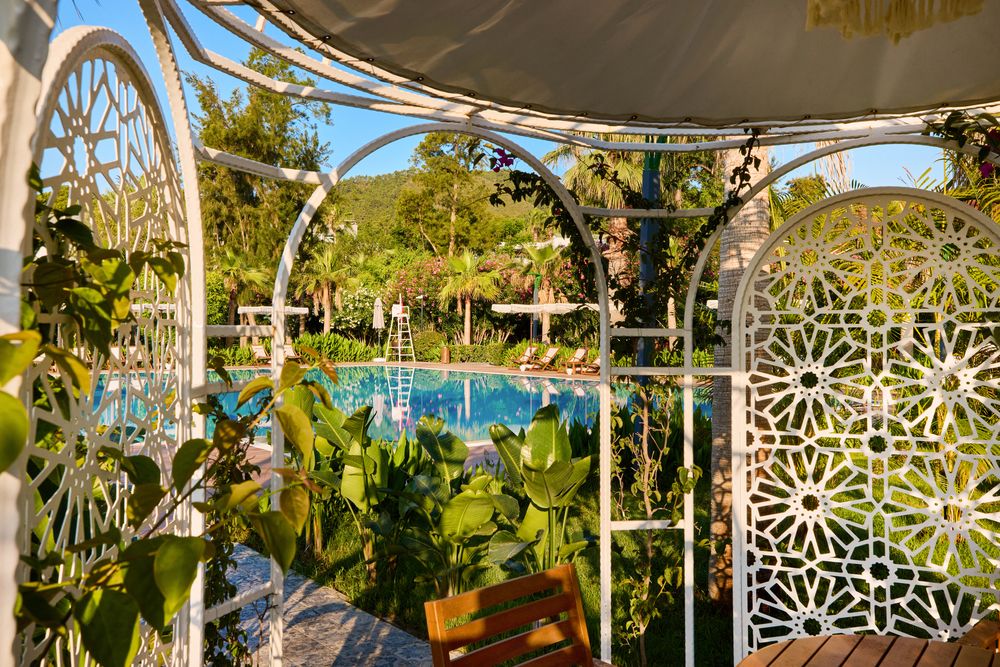 Картинка отеля - 77