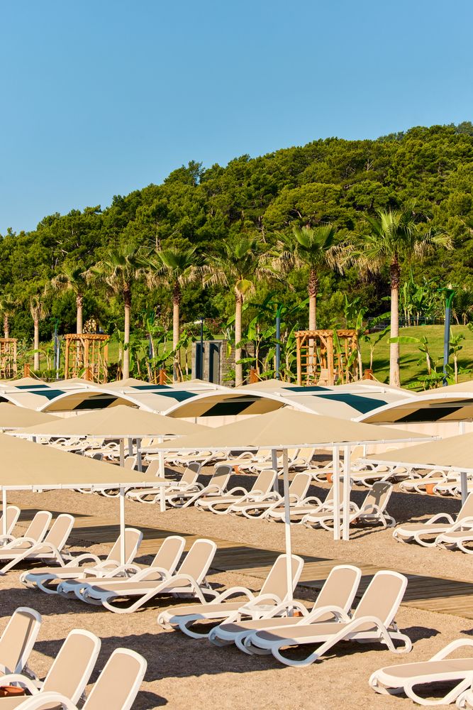 Картинка отеля - 73