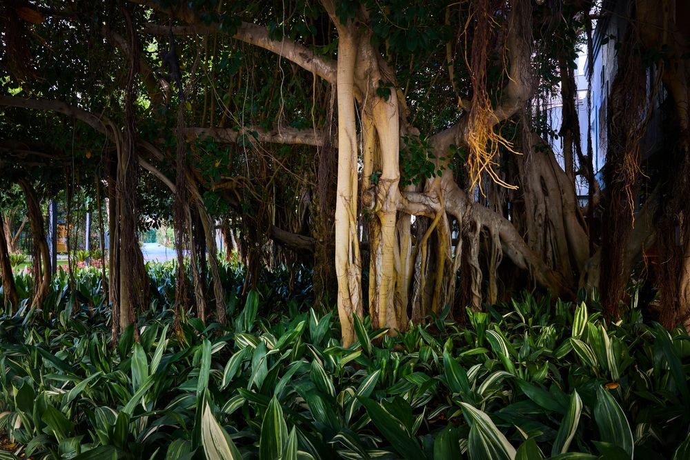 Movenpıck Resort Antalya Tekirova  - 11