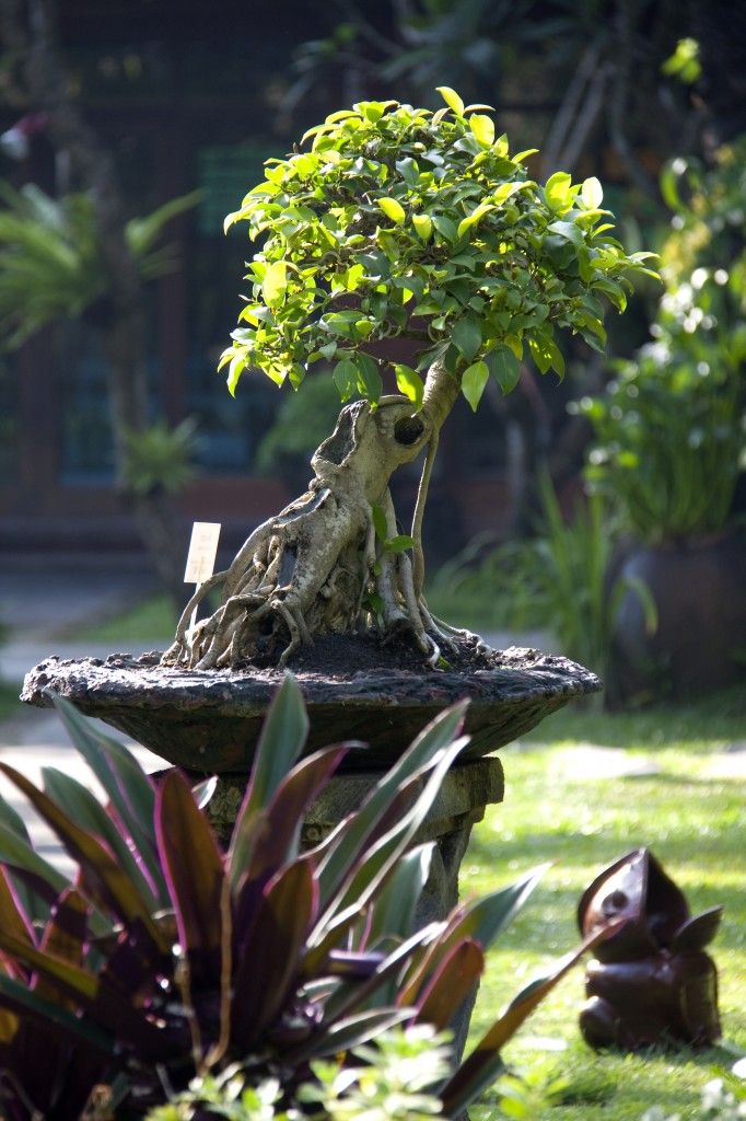 Картинка отеля - 4