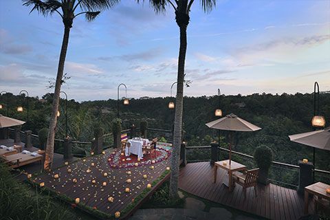 Картинка отеля - 17