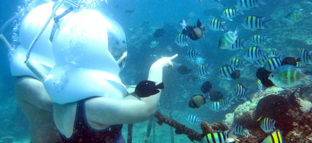 Картинка отеля - 33