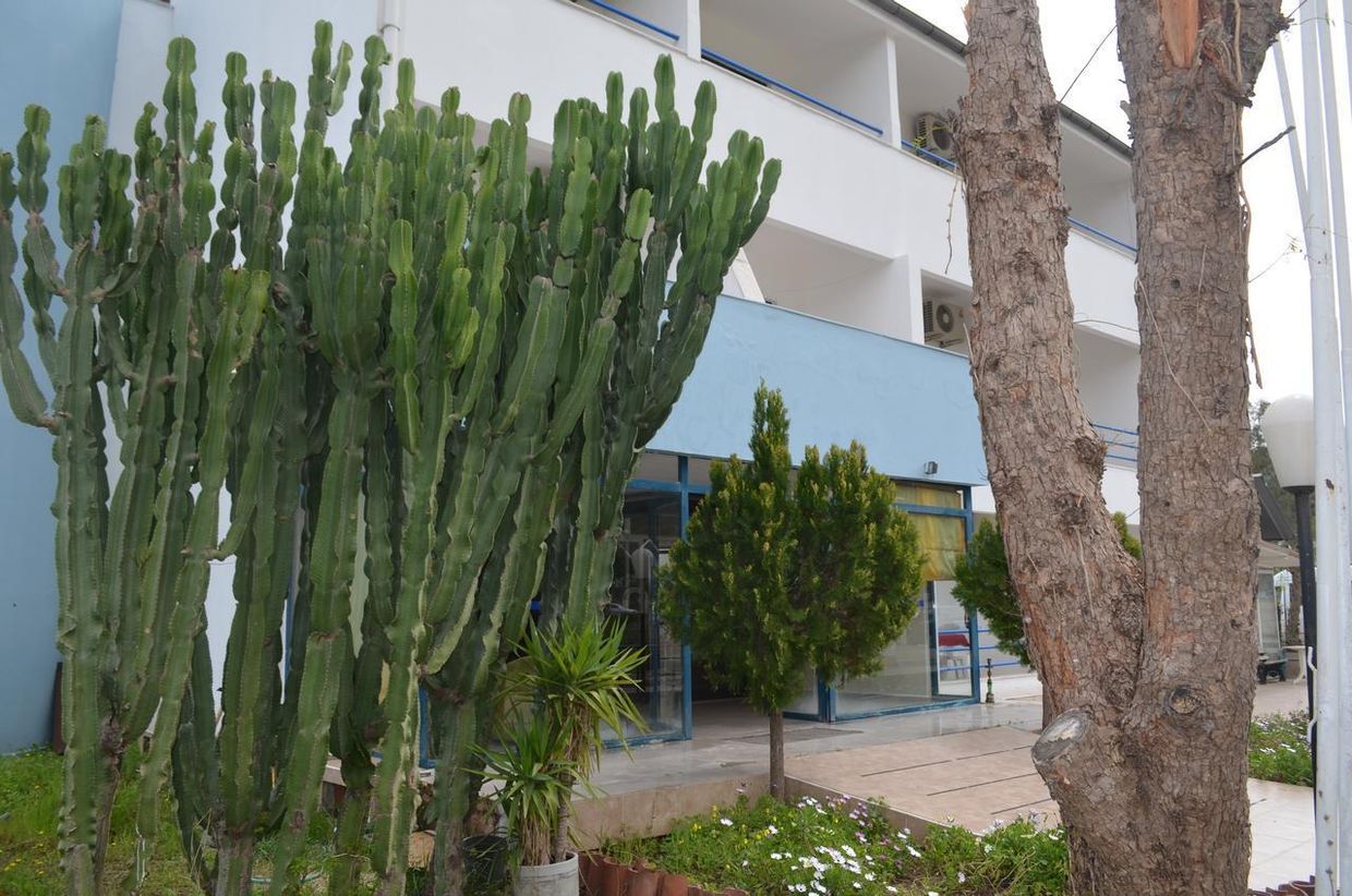 Park Avrupa Hotel - 15