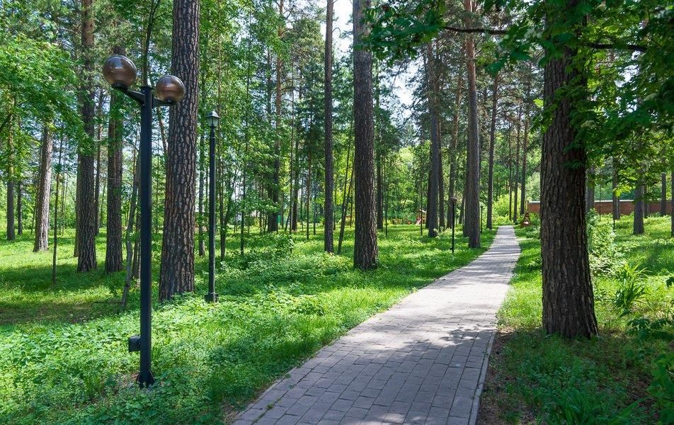 Картинка отеля - 5