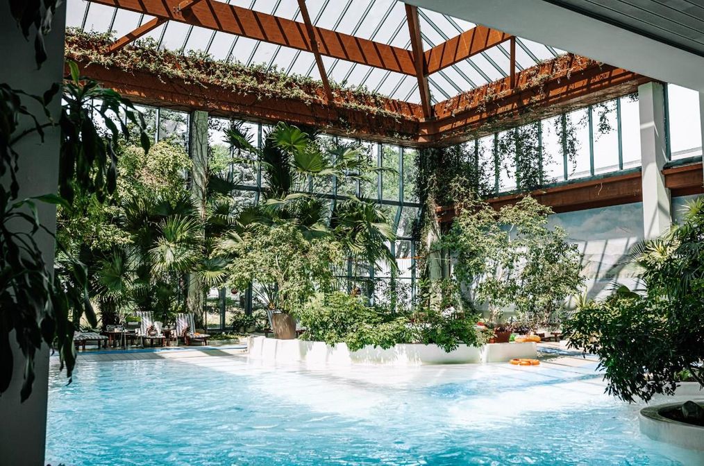 Картинка отеля - 11