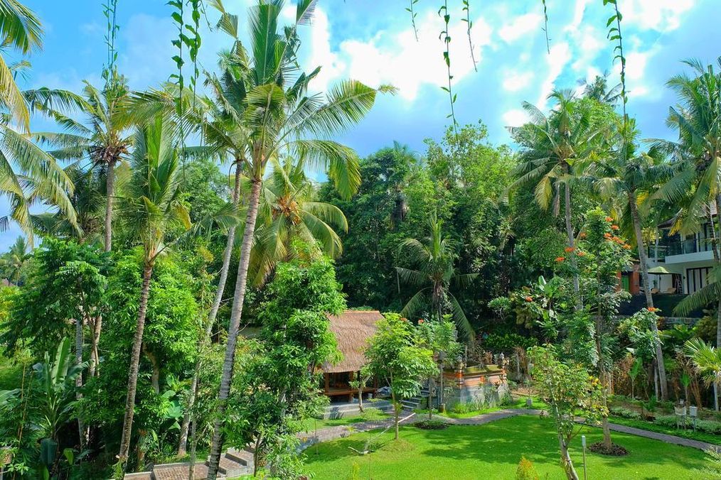 Картинка отеля - 11