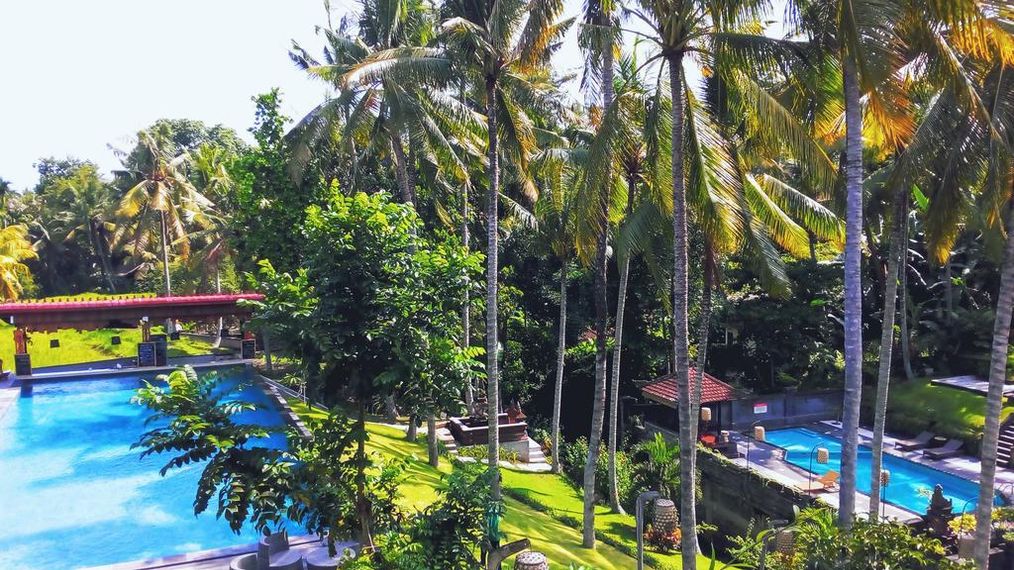 Картинка отеля - 10