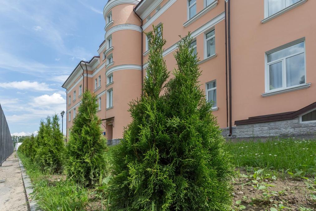 Картинка отеля - 10