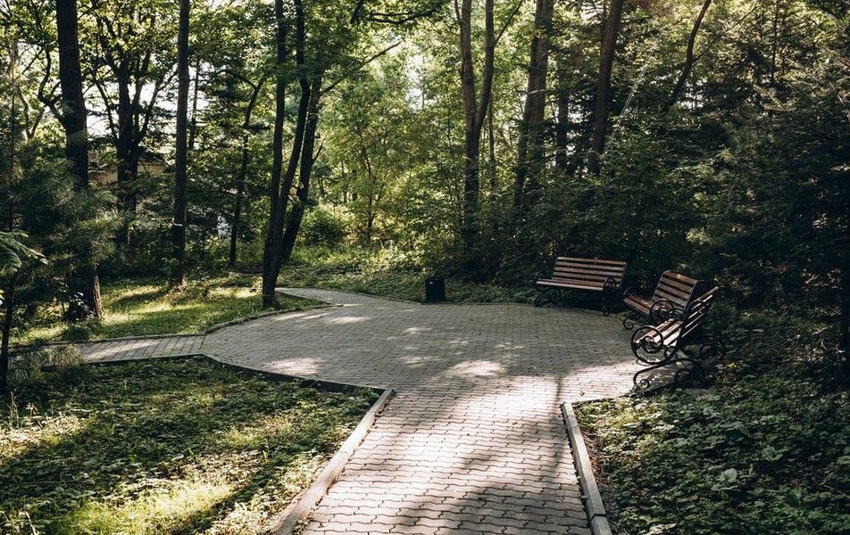 Картинка отеля - 14