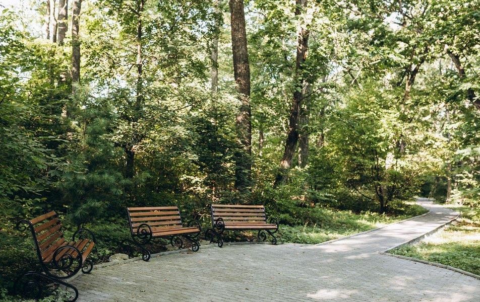 Картинка отеля - 15