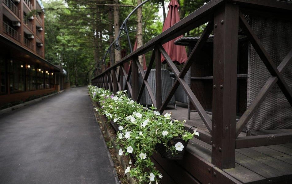 Картинка отеля - 19