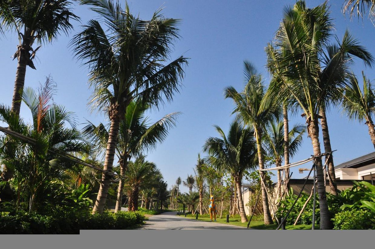 HAINAN GREENTOWN BLUE BAY RESORT - 27