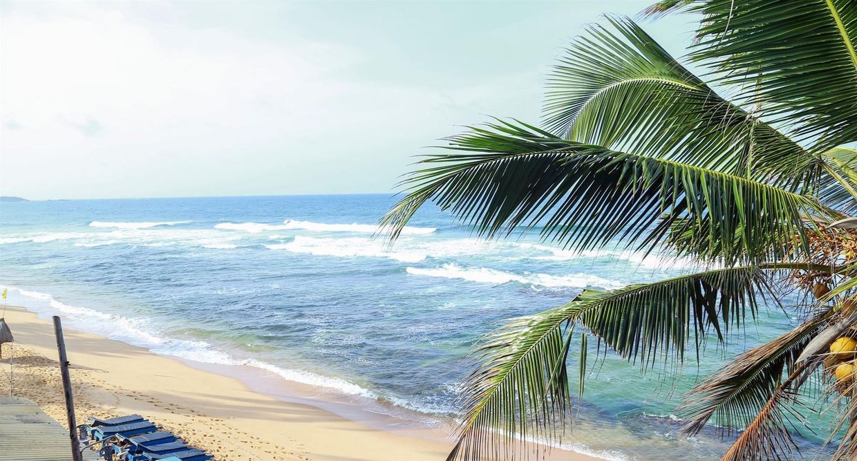 HANSA SURF GUESTHOUSE - 15