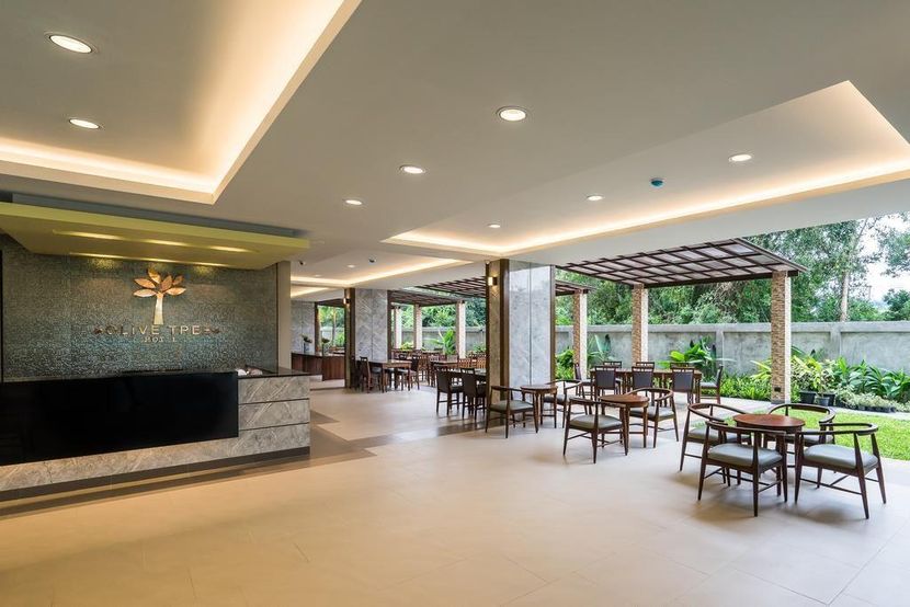 OLIVE TREE HOTEL - 3