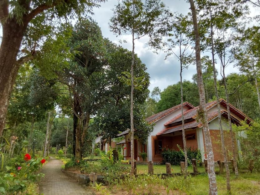 THE GARDEN HOUSE - 2