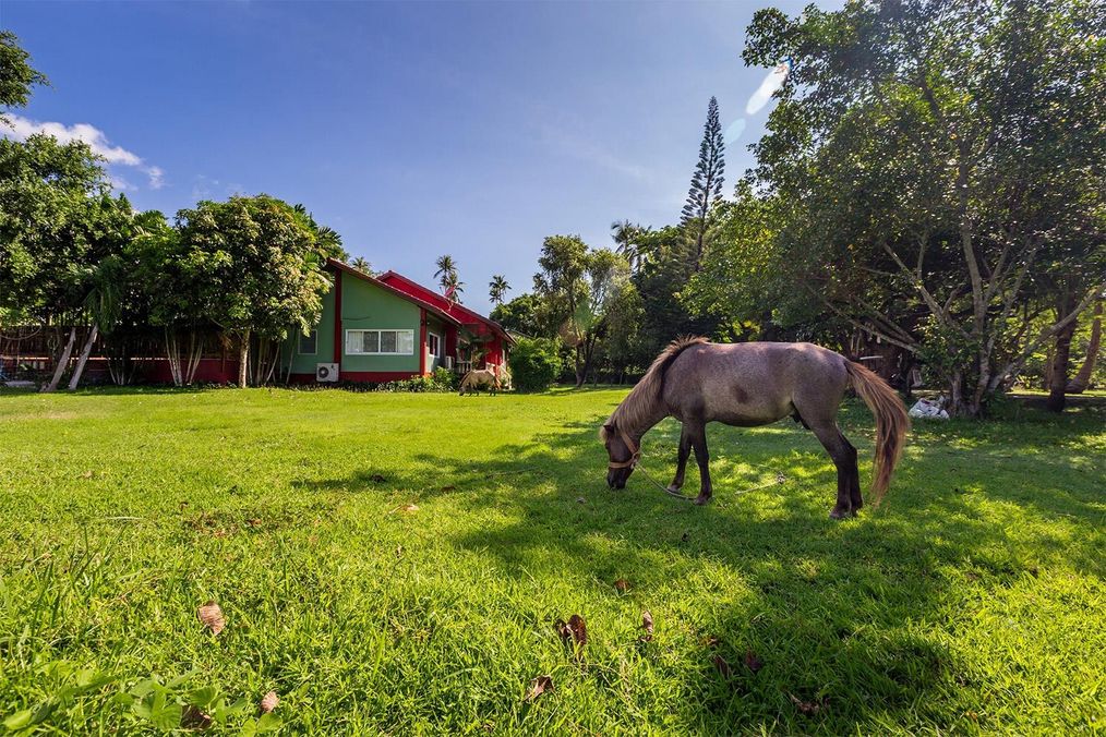 Картинка отеля - 9