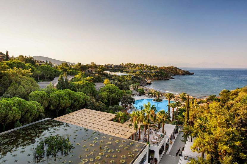 Club Marvy by Paloma - 1