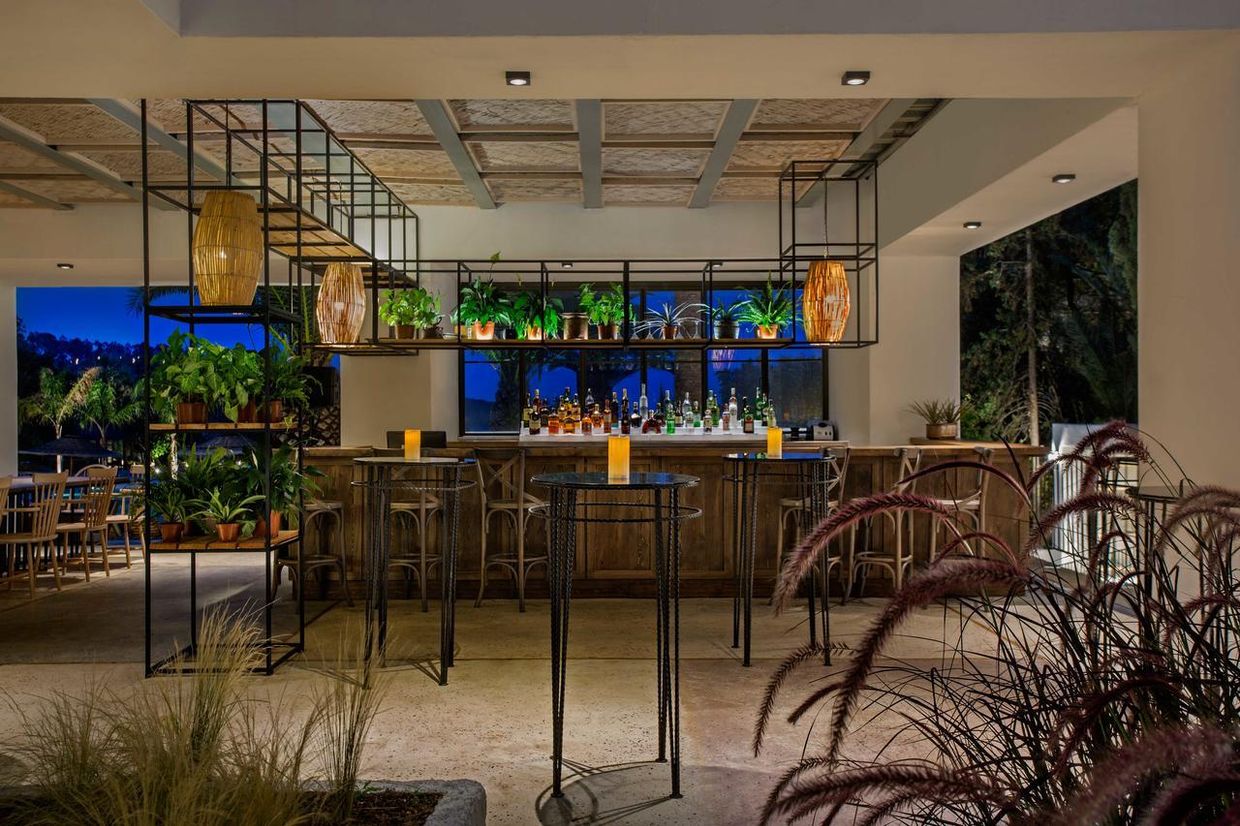 Club Marvy by Paloma - 16