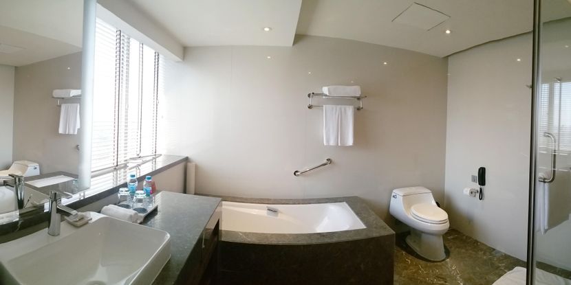 CROWNE PLAZA GUANGZHOU CITY CENTRE (广州中心皇冠假日酒店 ) - 3