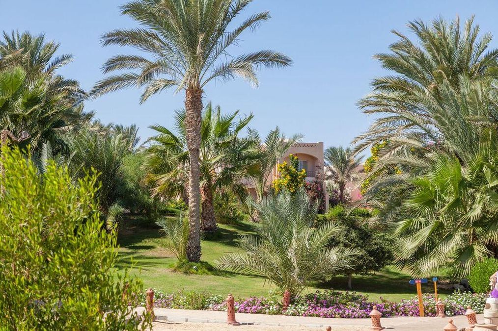 Картинка отеля - 24