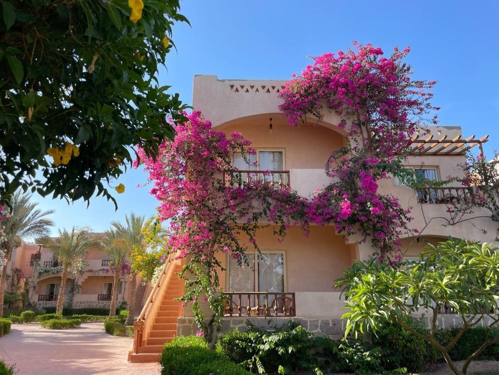 Картинка отеля - 6