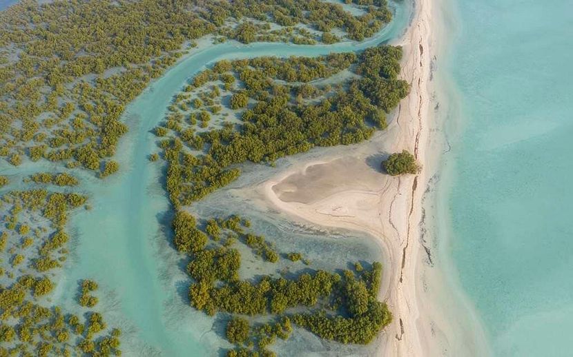 ANANTARA SIR BANI YAS ISLAND DESERT ISLAND & SPA BY ANANTARA - 3